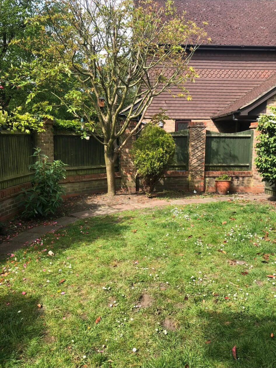 Rear extension from garden