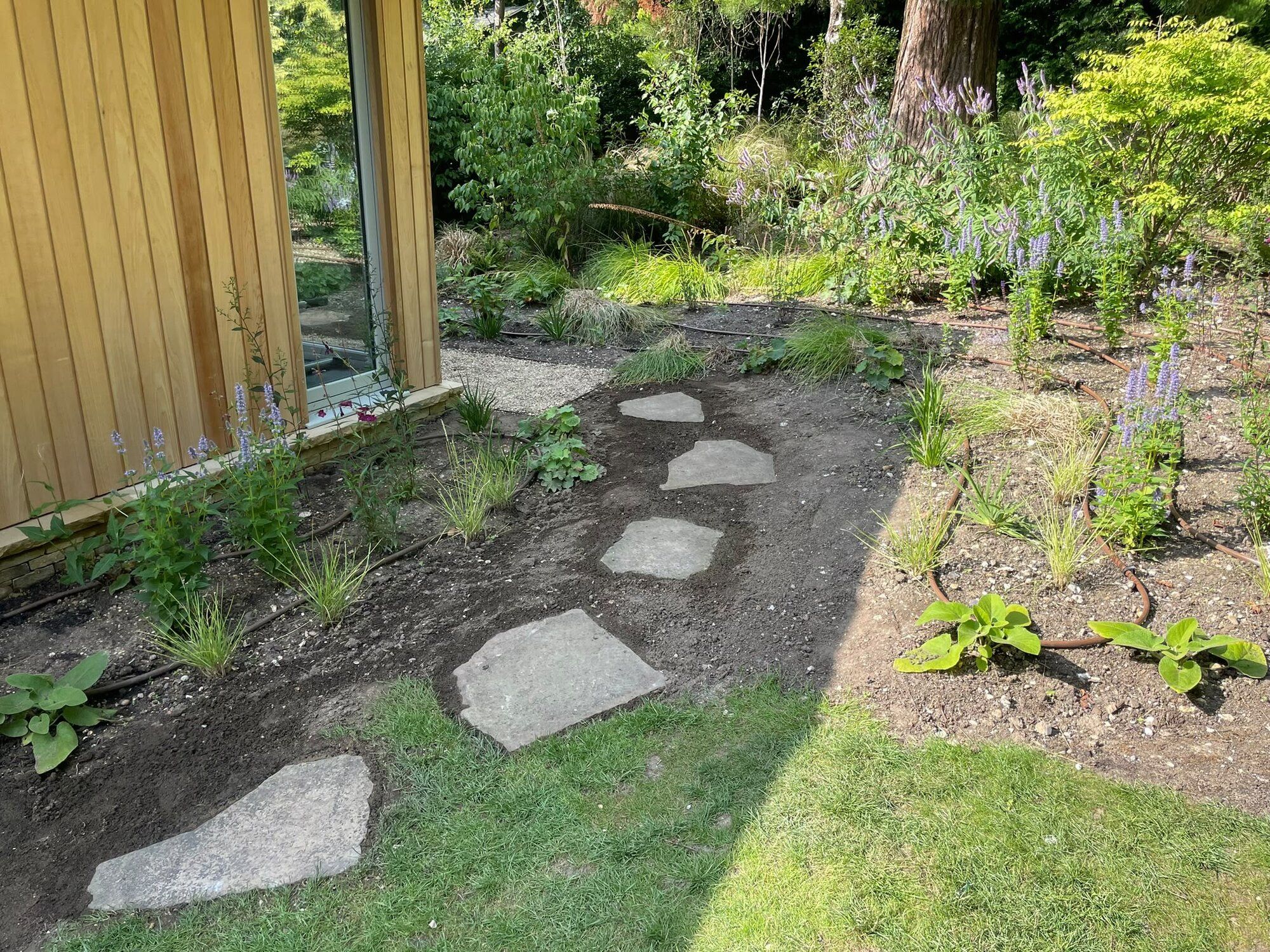 Cedar room and stepping stones